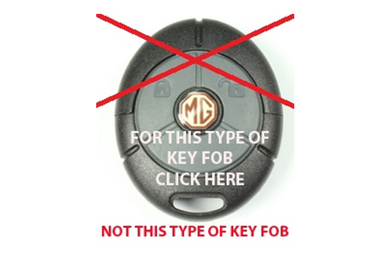 MG ZS KEY FOB (including DIY Programmer) Remote Key