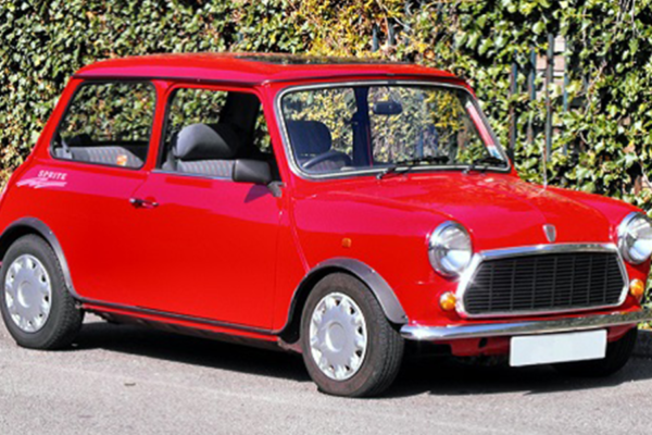 Rover Mini